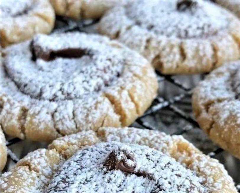 BISCOTTI MUDDY BUDDY